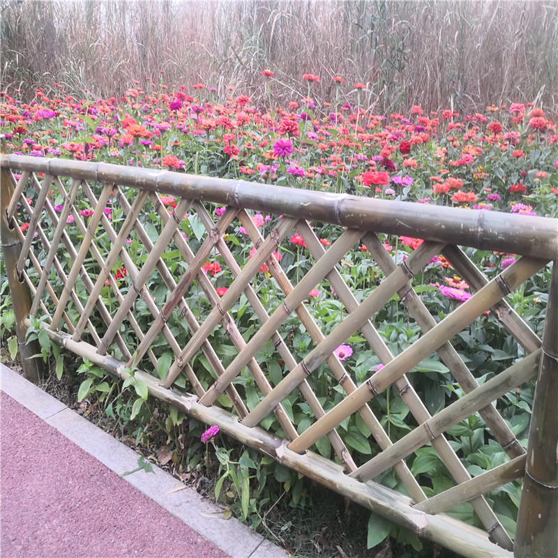 金山竹片围栏实木碳化木栅栏竹篱笆竹子护栏