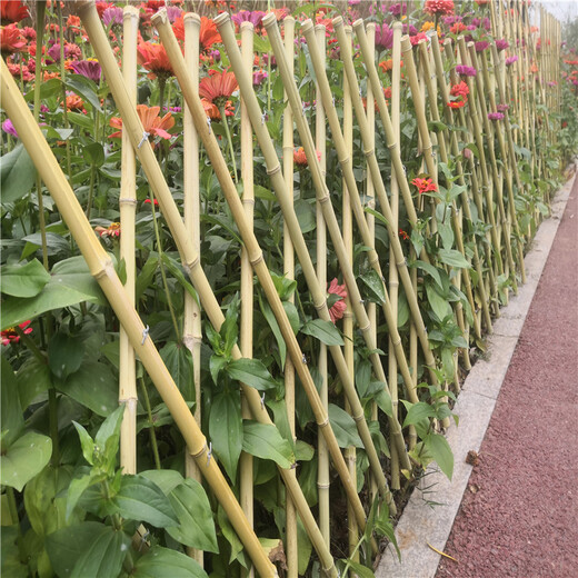 信阳庭院护栏菜园栏杆竹篱笆竹子护栏