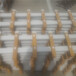 武汉道路护栏碳化木栅草坪护栏竹篱笆竹子护栏