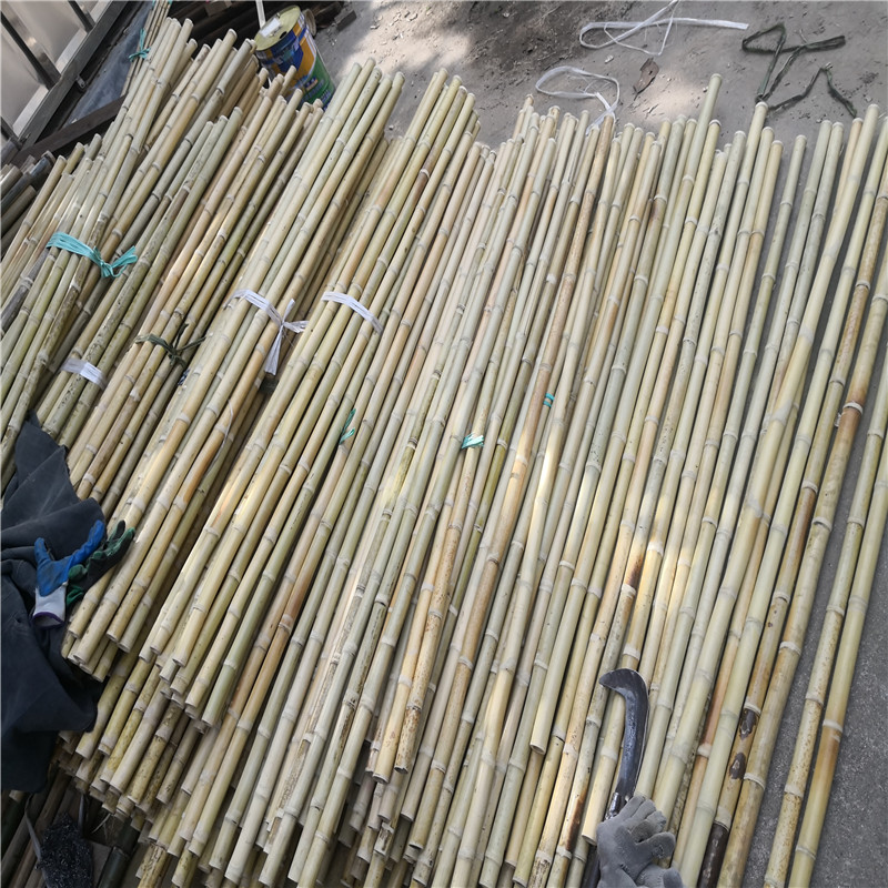 北京顺义竹子围墙户外实木篱笆竹篱笆竹子护栏