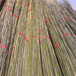 永新仿竹栅栏碳化木桩竹篱笆竹子护栏