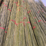 石家庄竹栅栏篱笆碳化木栅草坪护栏竹篱笆竹子护栏图片0