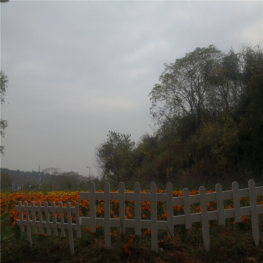 大渡口围菜园栅栏花池小护栏竹篱笆竹子护栏