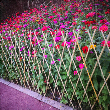惠州竹篱笆围墙碳化木桩竹篱笆竹子护栏