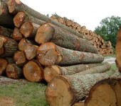广州进口缅甸木材的报关费用高吗