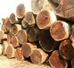 非洲濒危木材怎么进口清关