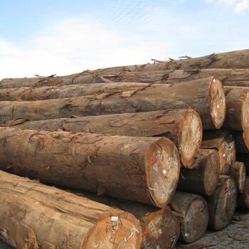 肯尼亚木材进口广西一般贸易清关流程
