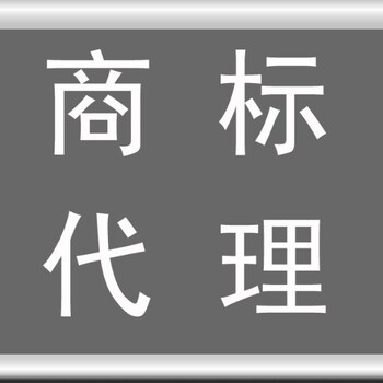 专利申请的实质审查阶段