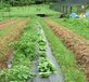 防草布除草布色塑料材料经高密度编织而成的果园防草布膜状地面覆盖材料