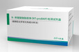 N末端脑钠肽前体（NT-proBNP）检测试剂盒（磁微粒化学发光免疫分析法）