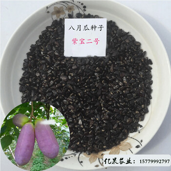 八月瓜種子，八月瓜苗，八月瓜種植技術(shù)