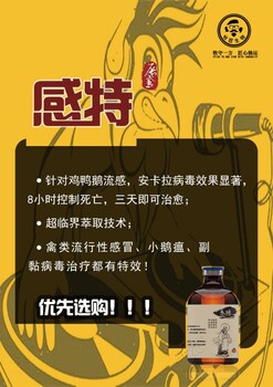 鸭子流感混感浆膜炎怎么用药？鸭子包心包肝如何治疗？