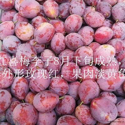 日本李王銷(xiāo)售電話