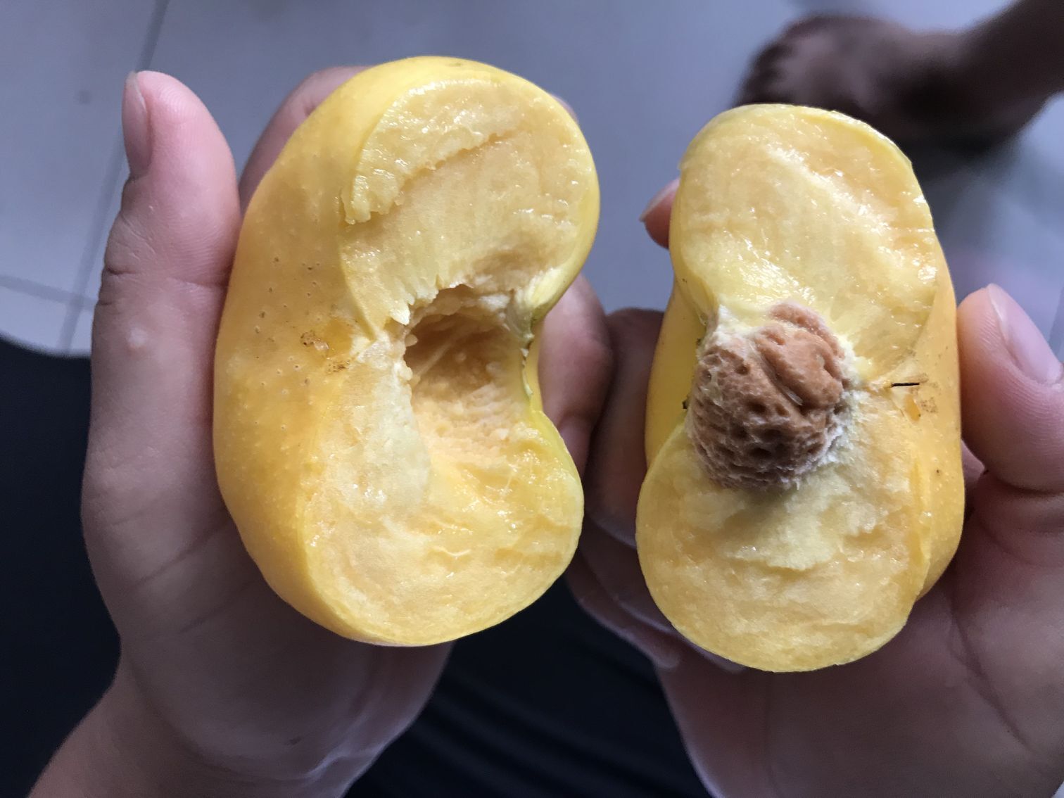 東營市晚熟蟠桃品種什么地方有