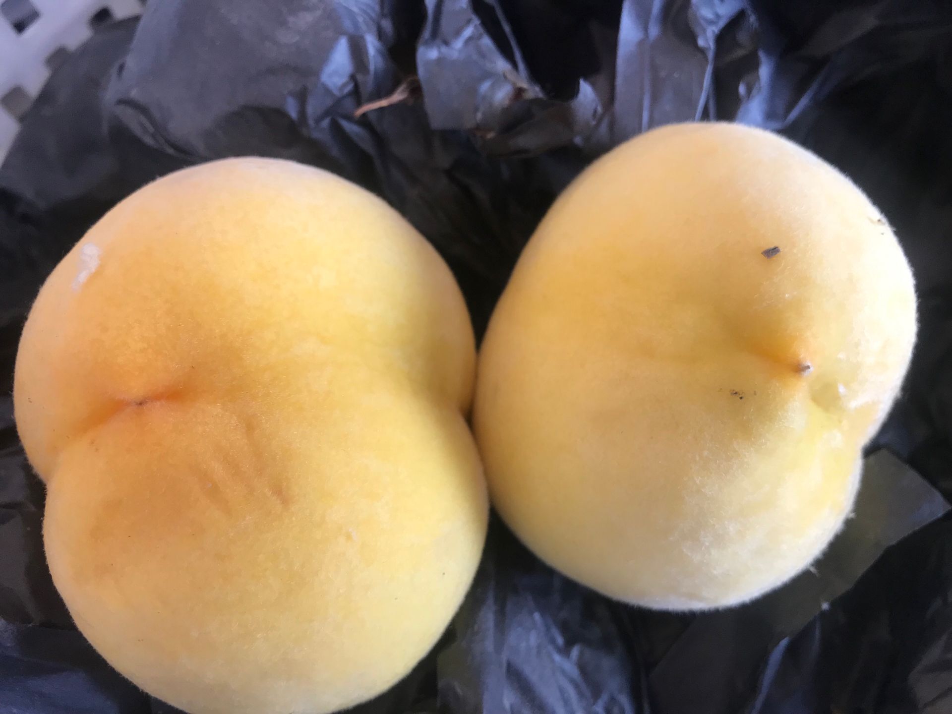 黃南藏族自治州油蟠桃新品種銷售