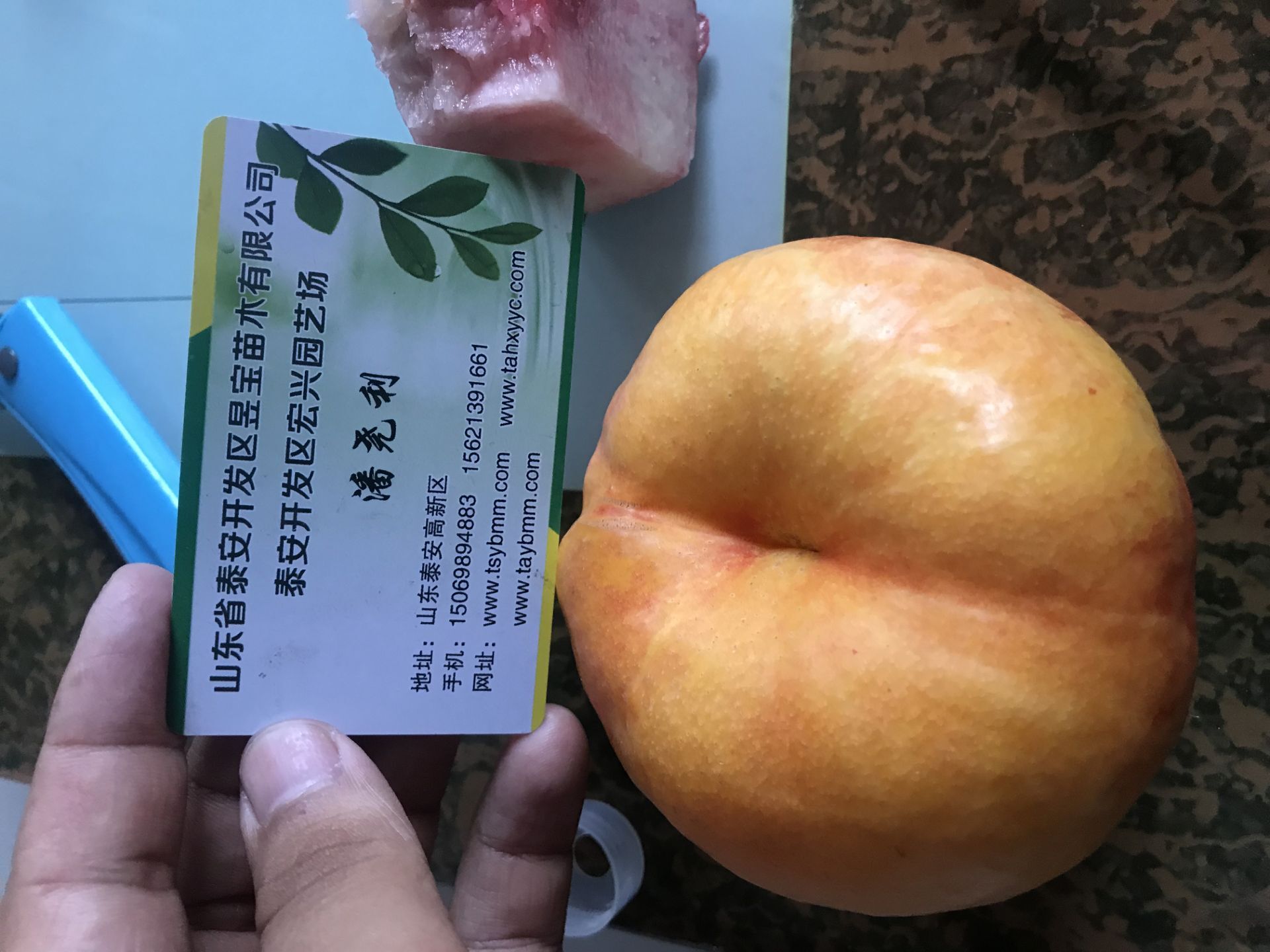 十堰市蜜3苗耐儲存