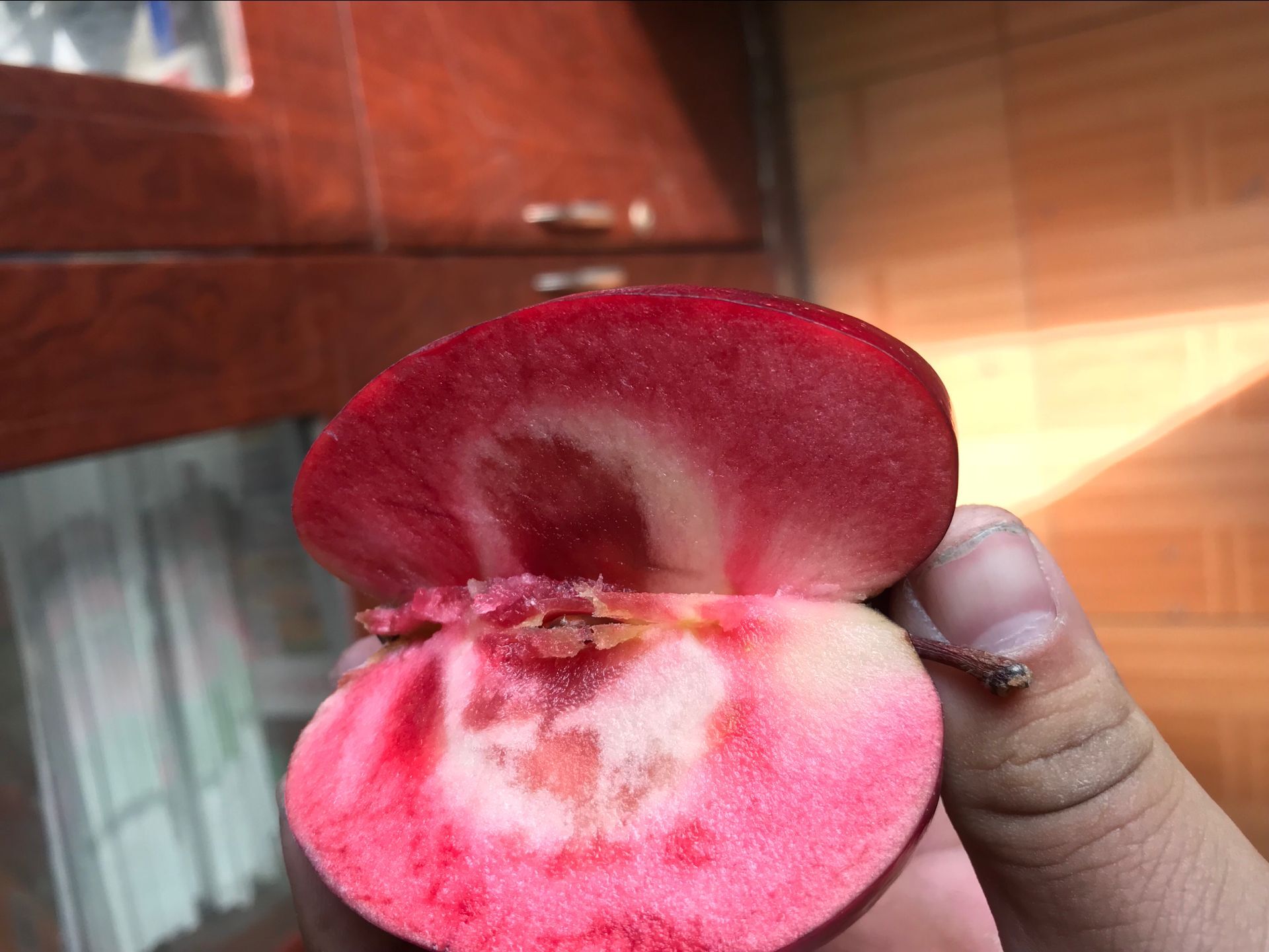 黑龙江省神富一号苹果苗 神富一号苹果树苗品种好