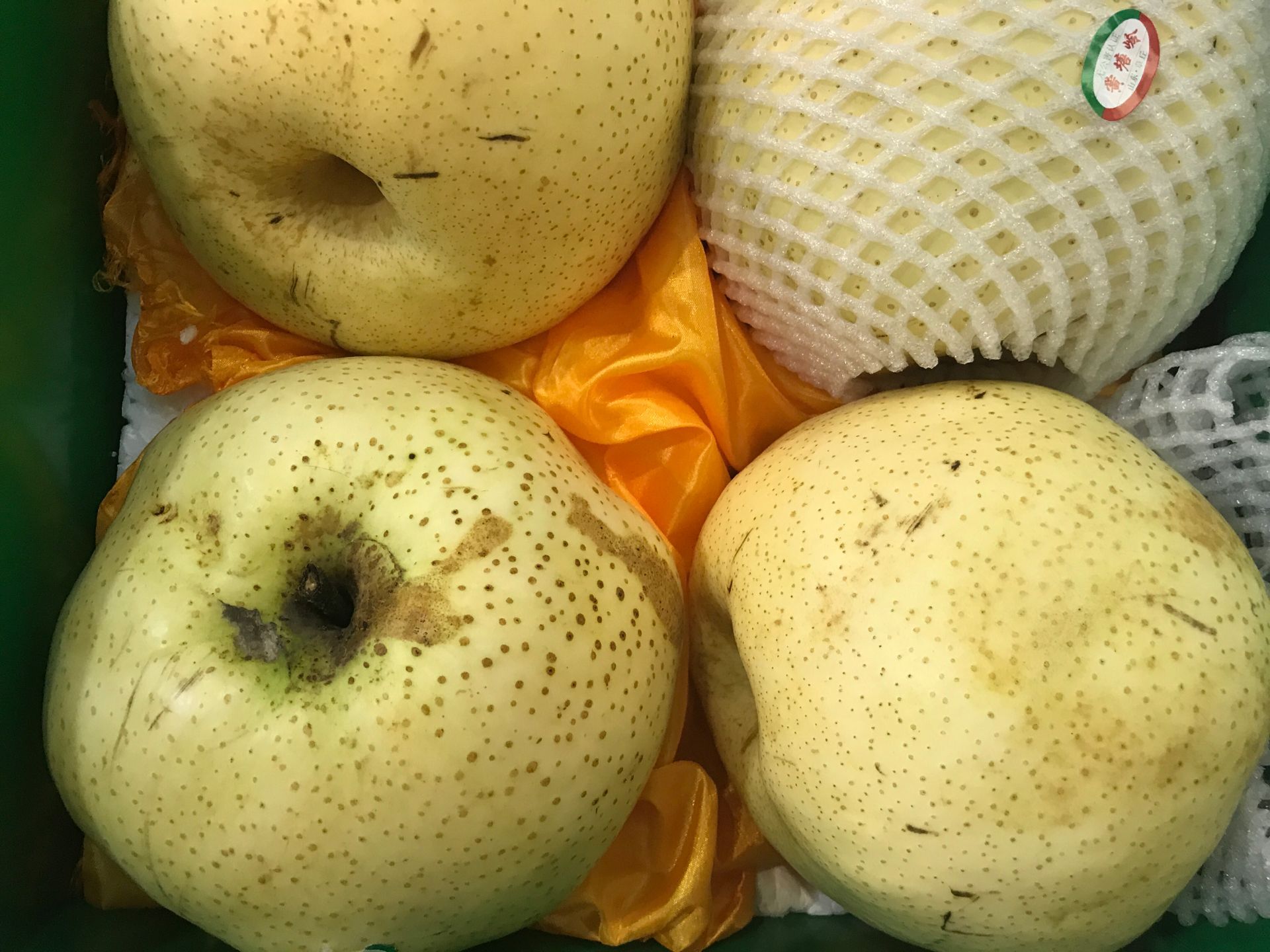 黄冈4公分梨苗农家肥和复合肥的使用 4公分梨苗
