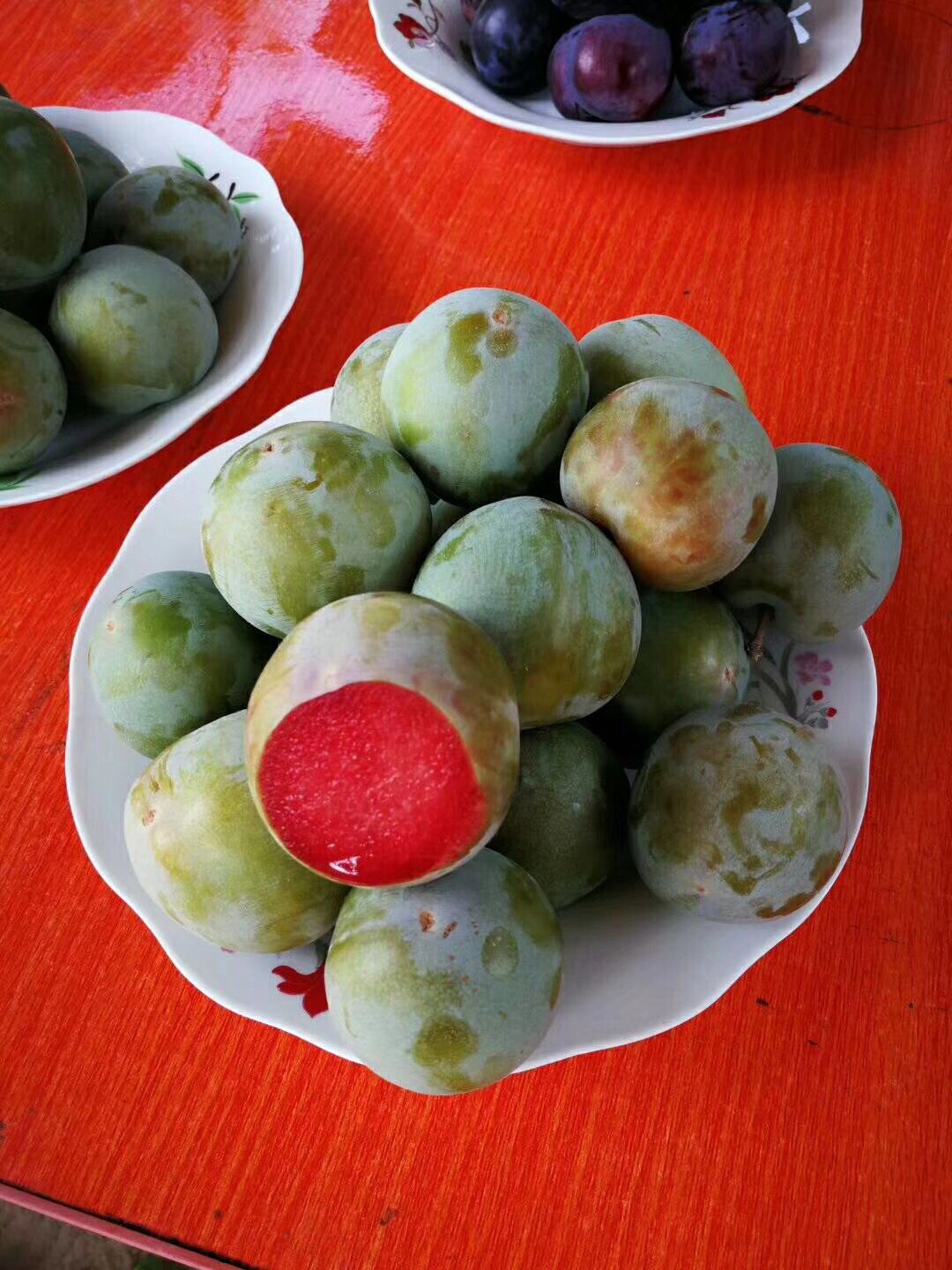春季種植種植地址紅皮西梅苗 六安