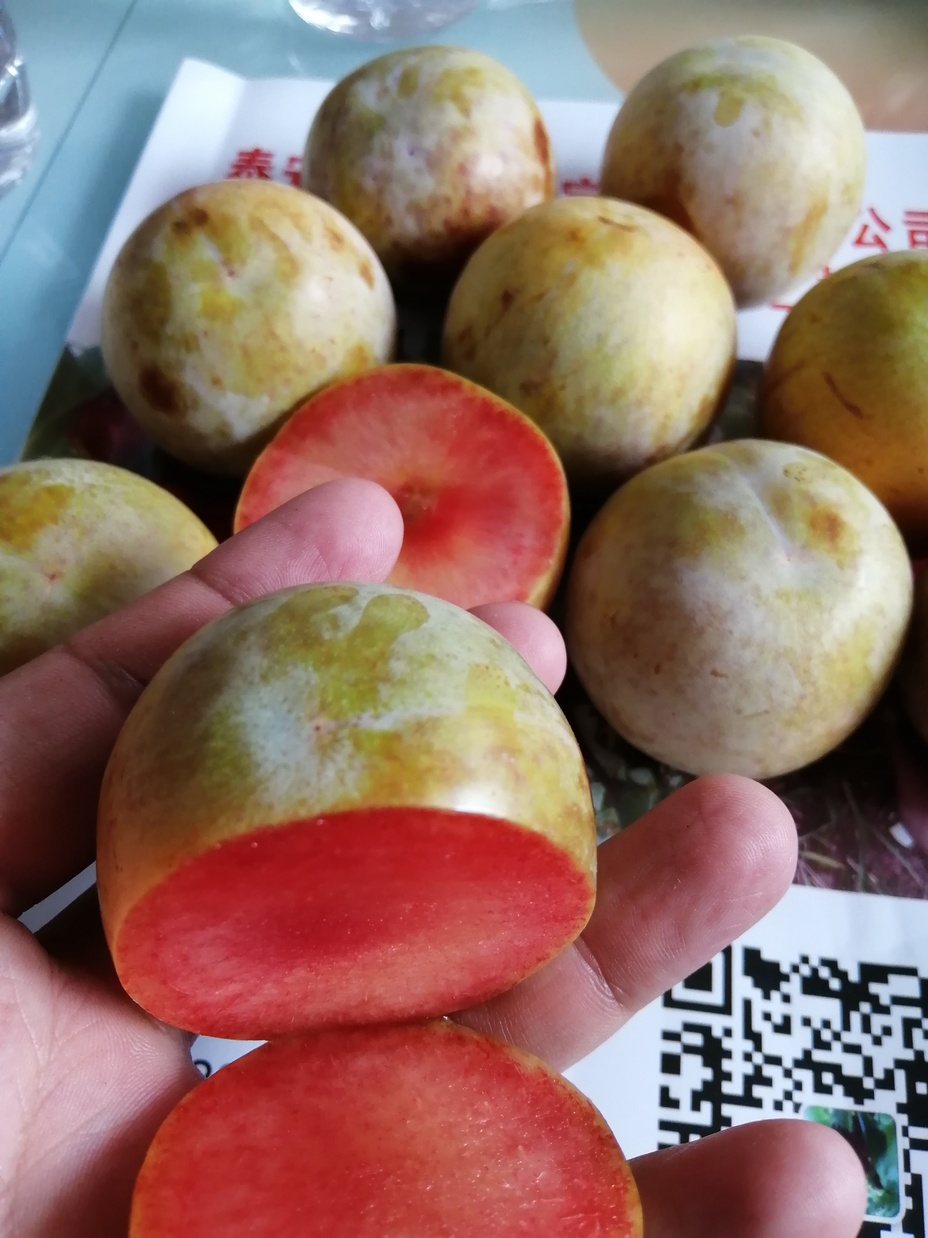 春季種植微量元素的使用李子苗 