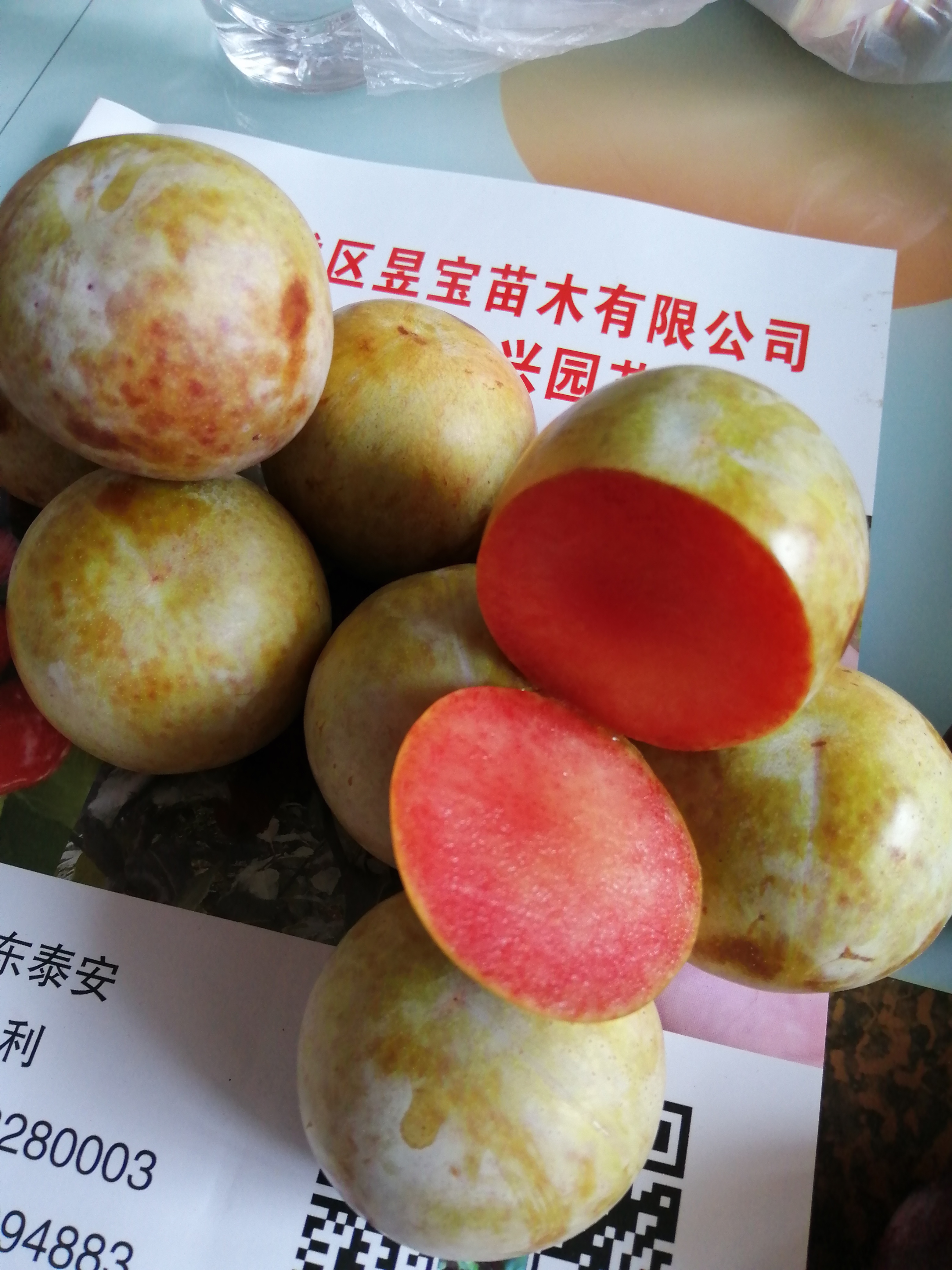 春季種植詳細(xì)報(bào)價(jià)當(dāng)年李子苗 