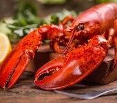 泰国未经加工虾蟹壳进口如何报关报检？