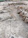 安徽霍邱混凝土拆除岩石分裂棒使用方法