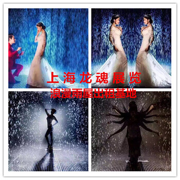 上海外灘承接大型展覽設(shè)備出租大型仿真恐龍浪漫雨屋鯨魚島樂園大型燈光展