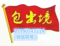 新西兰国企项目，零费用项目，年薪30万以上！图片4