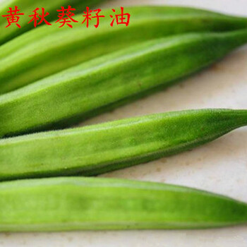 冷榨黃秋葵籽油秋葵油黃秋葵籽油出油率黃秋葵種子油