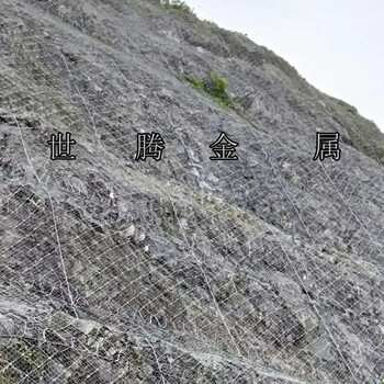青海西寧廠家出售雙邊絲護(hù)欄網(wǎng)石龍網(wǎng)邊坡防護(hù)網(wǎng)用在哪里的？