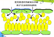 济南绿赛LS-66农用增效剂