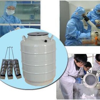 青岛液氮储存罐10升价格YDS-10