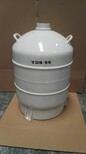 供应：抚州液氮运输罐YDS-20B图片0