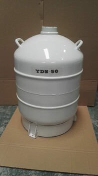 供应：怀柔液氮运输罐YDS-30B