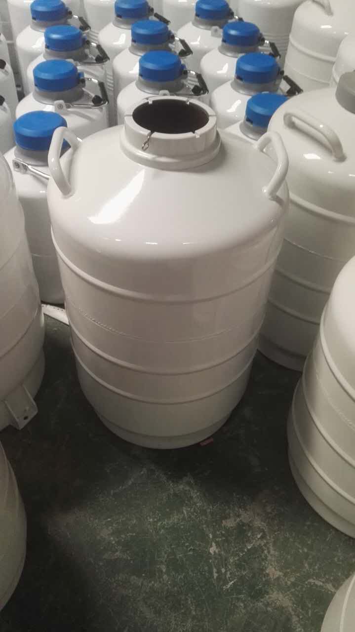 供应：潮州液氮运输罐YDS-20B