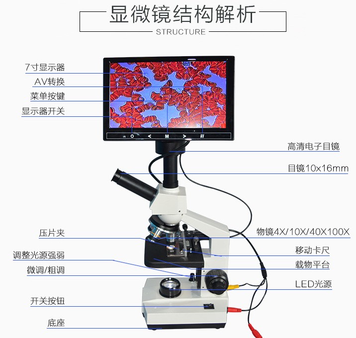 欢迎：孟津县视频生物显微镜