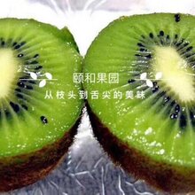 1536289238028209600-0.jpg@1e_1c_220w_220h_90Q.jpg