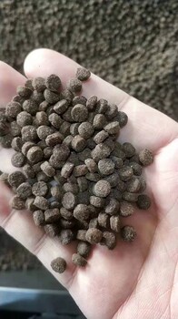 OEM贴牌代工犬粮猫粮宠物零食5000-18000