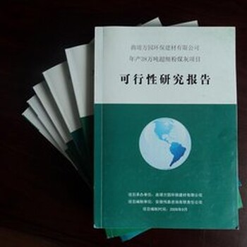 代写项目资金申请报告书可研报告公司加快企业审批进度