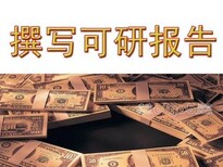 天津代写项目申请报告可行性研究报告低收费仅1000元起图片5