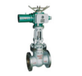  Electric wedge gate valve