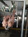 新疆鸡自动屠宰流水线家禽宰杀生产线厂家定制家禽屠宰设备价格