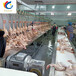陕西淘汰蛋鸡屠宰流水线老母鸡专用屠宰生产线鸡宰杀设备厂家