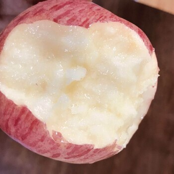 煙十蘋果苗的優(yōu)勢(shì)