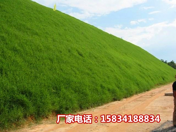 山西盂县绿化种草喷播机多少钱一台设备用途