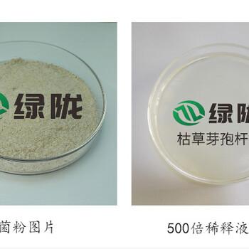 枯草芽孢桿菌微生物菌劑