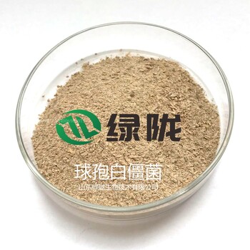 球孢白僵菌生物殺蟲