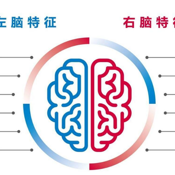 脑立方全脑教育加盟要多少费用