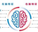 家有儿女全脑开发加盟费投资多少